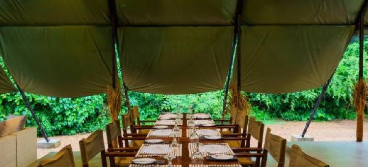 马基尼丛林营地(Makini Bush Camp, Yala)图片