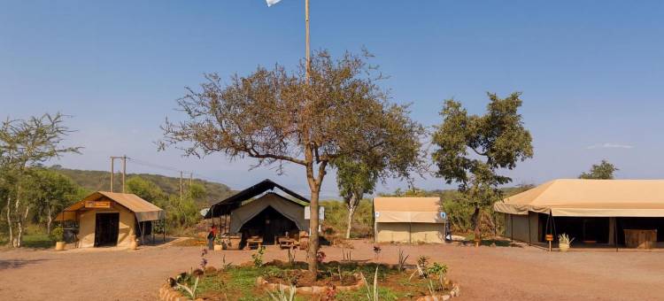 非洲野生动物园 马尼亚拉断崖露营(Africa Safari Manyara Escarpment Camping)图片