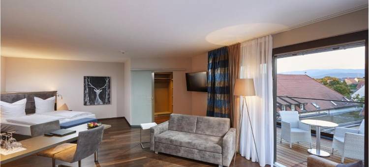 莱纳赫城堡酒店(Schloss Reinach)图片