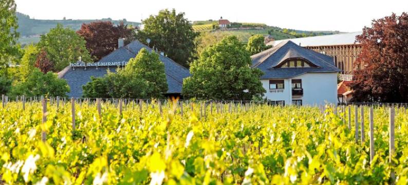 弗兰莫乐餐厅酒店(Hotel Restaurant Fronmühle 3 Sterne Superior)图片