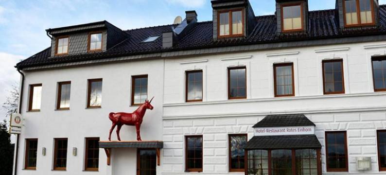 罗特艾尔霍恩精品酒店餐厅(Hotel-Restaurant Rotes Einhorn Düren)图片