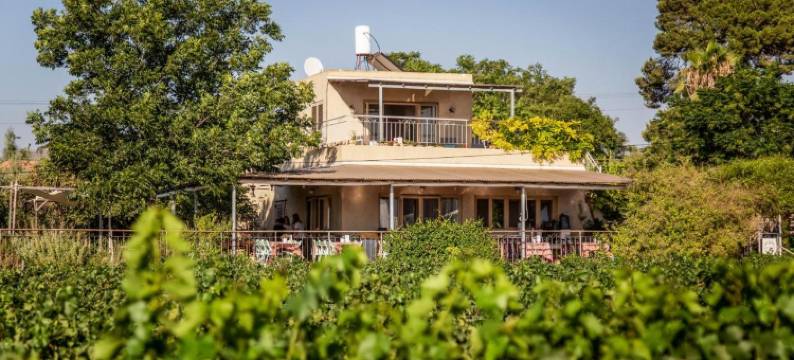 Mettler Winery图片