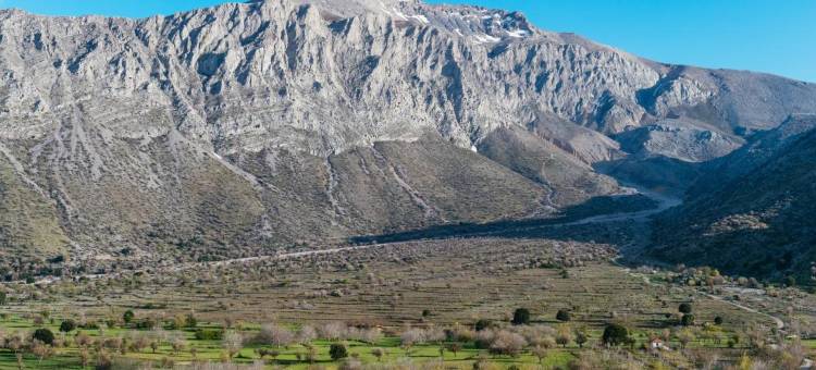 瓦西利卡塔酒店(Vasilikata)图片