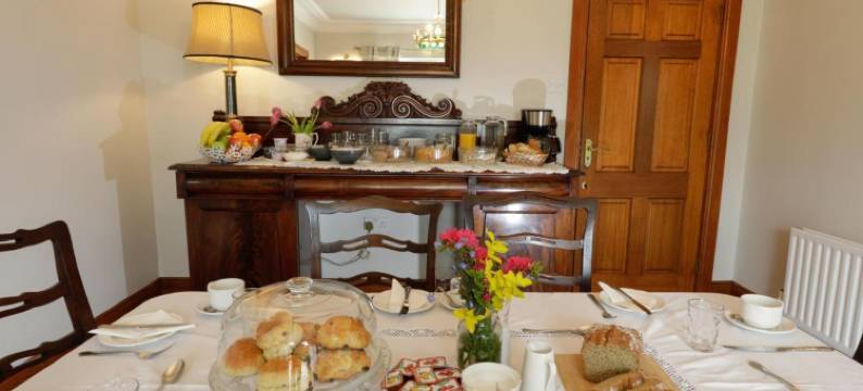 勒根之家民宿(Lurgan House)图片