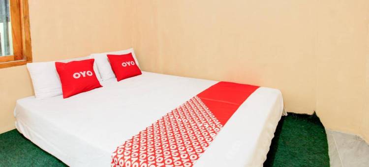 O科斯特盖尤斯酒店(Hotel O Kost Gayus)图片