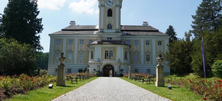 罗西瑙城堡高级酒店(Schlosshotel Rosenau Superior)图片