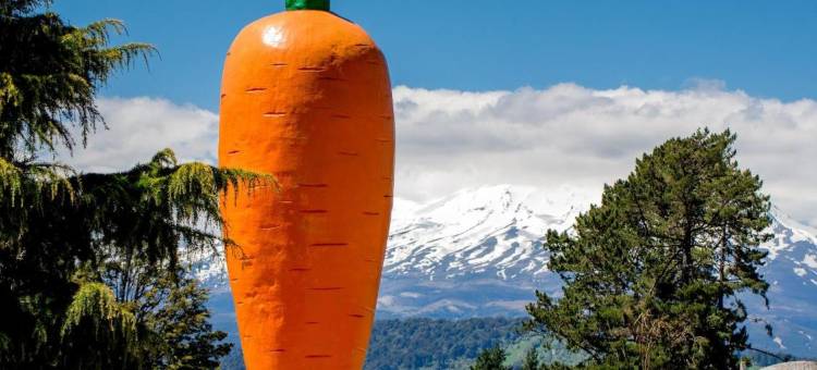 奥阿库尼前10名假日公园酒店(Ohakune Top 10 Holiday Park)图片