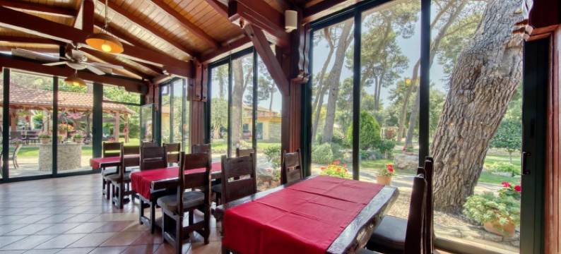 地中海乡村圣安东尼奥酒店(Mediterranean Village San Antonio)图片