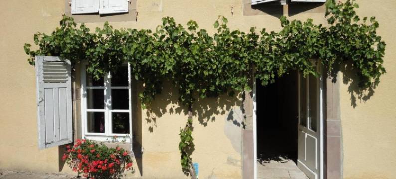 Domaine les Bachats图片