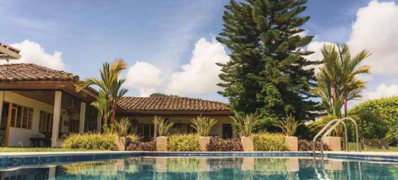 The Coffee Club Campestre图片