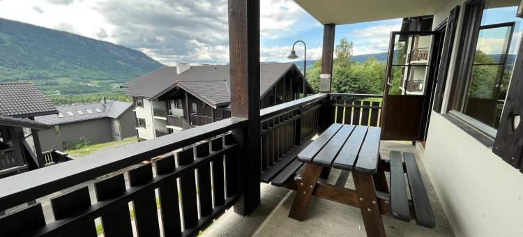 索丽雅高山公寓酒店(Alpin Apartments Sørlia)图片