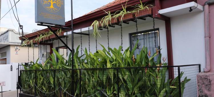 印楝树之家(Neem Tree House, Trincomalee)图片