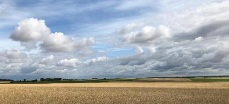 康帕艺术酒店(Campagn'Art)图片