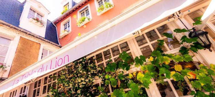 里昂多尔餐厅酒店(Hotel le Lion d'Or et Restaurant la Table du Lion)图片