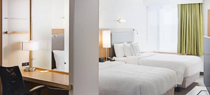 卡尔珀雷斯花园城市万豪SpringHill Suites酒店(SpringHill Suites Carle Place Garden City)图片