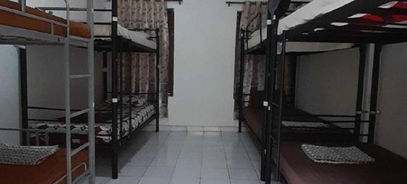 劳拉背包客523旅馆(Laura's Backpacker 523)图片