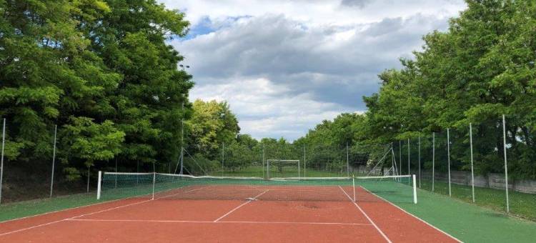 米尔林酒店(Hotel Mlyn)图片