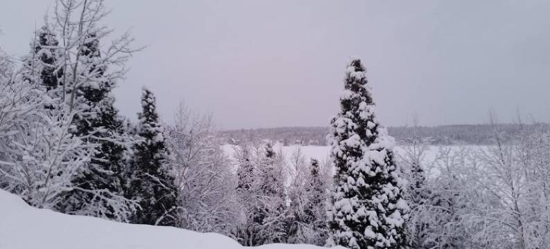 Résidence Touristique Lodge des Bois图片