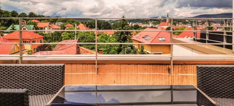 温德姆-克卢日酒店(Wyndham Cluj)图片