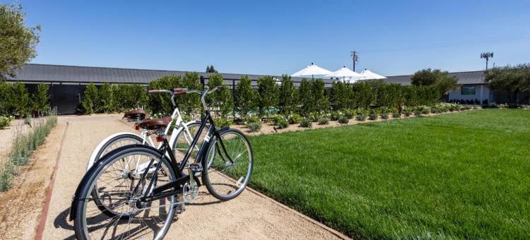 贝伊特酒店(Hotel Bayit)图片