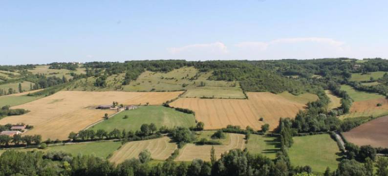 雷蒙七世酒店(Hotel Raymond VII)图片