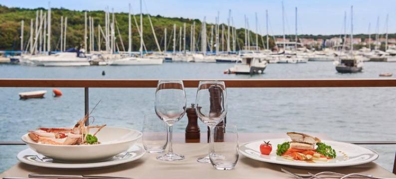 里巴尔斯卡科力巴度假村(Ribarska Koliba Resort)图片