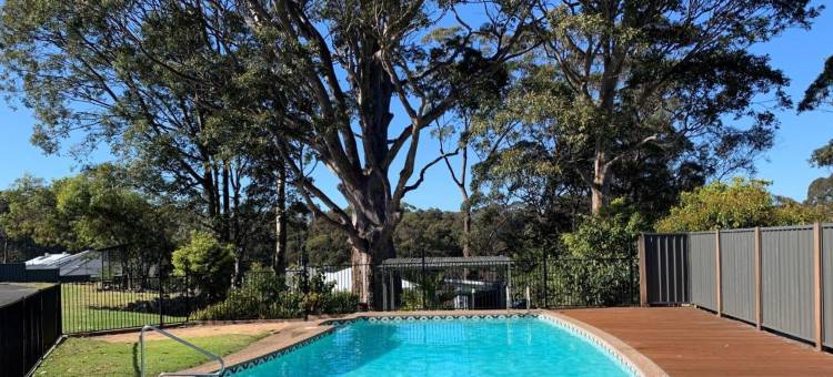 树汽车旅馆(The Tree Motel)图片