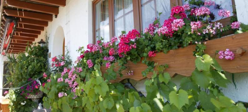 兰德豪斯马斯特酒店(Landhaus Mast)图片