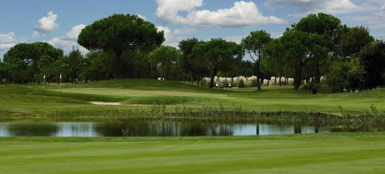 丹尼尔酒店(Hotel Daniele)图片