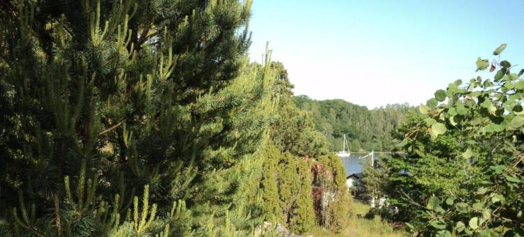 Skeppsgården B&B图片