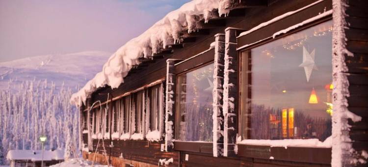 帕拉斯拉普兰酒店(Lapland Hotels Pallas)图片