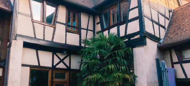 洛赛迪阿尔萨斯住宿加早餐旅馆(Maison d'hôtes la Rose d'Alsace)图片