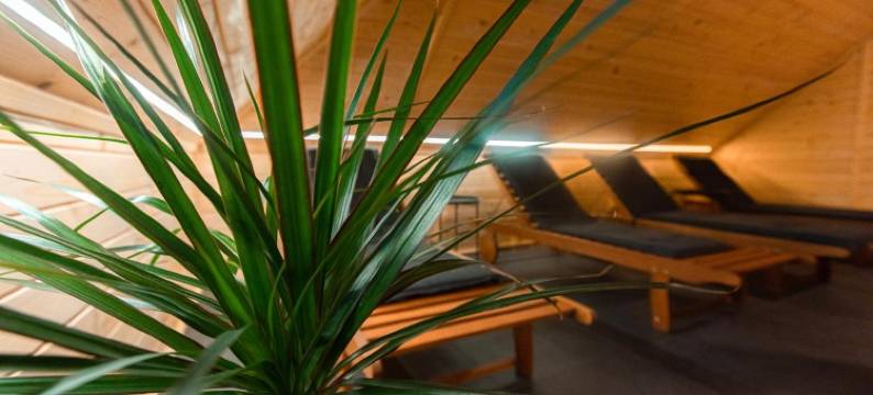 科兹扬斯基庄园(Kozjanski Dvor)图片