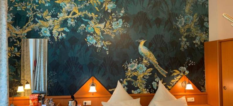 湖畔酒店(Hotel Seeufer)图片