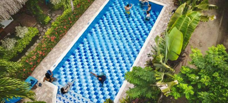 普里玛卢娜帕洛米诺(Primaluna Palomino)图片