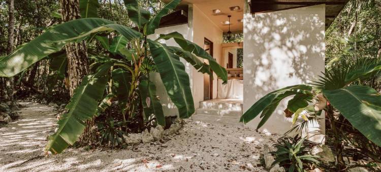 卡萨阿卡纳生态度假屋(Casa Arkaana Eco Retreat)图片