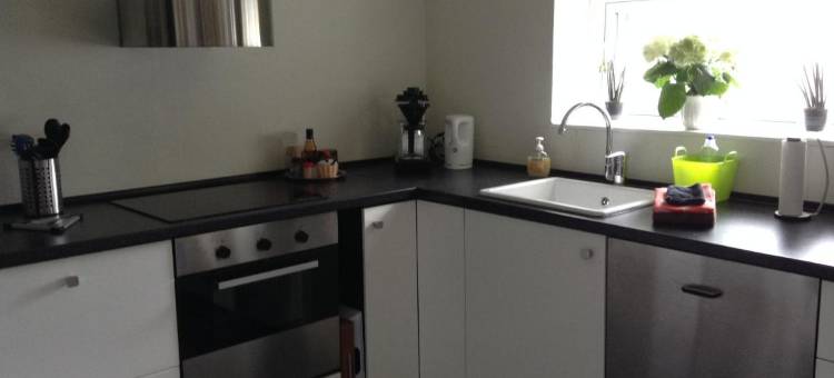 Svalegaarden Guesthouse图片