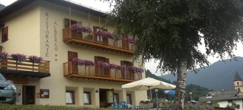 塞雷内拉酒店(Hotel Serenella)图片