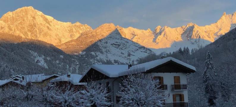 埃德维斯酒店(Hotel Edelweiss)图片
