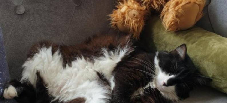 中央酒店(Hotel le Centre)图片