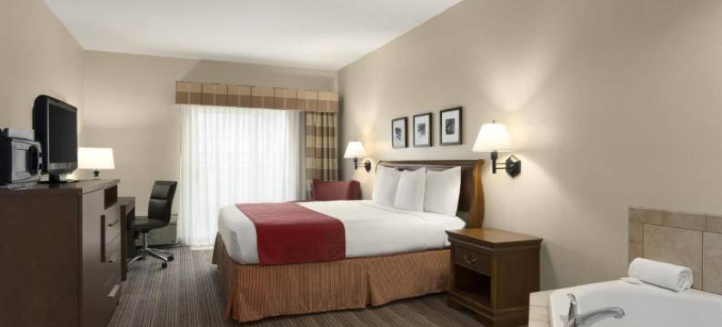 爱荷华锡达拉皮兹机场丽怡酒店(Country Inn & Suites by Radisson, Cedar Rapids Airport, IA)图片