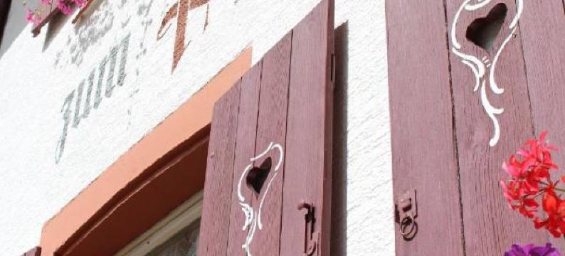 酒店 - Landgasthof Zum Pflug(Hotel Landgasthof Zum Pflug)图片