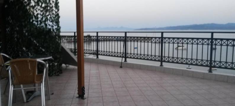 德尔菲尼亚开间(Delfinia Studios)图片