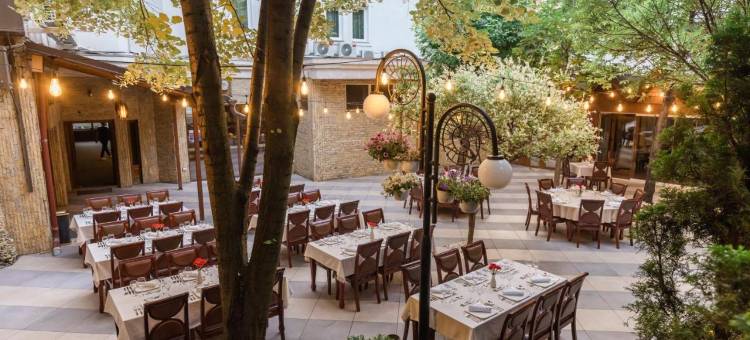 阿法酒店(Hotel Afa)图片