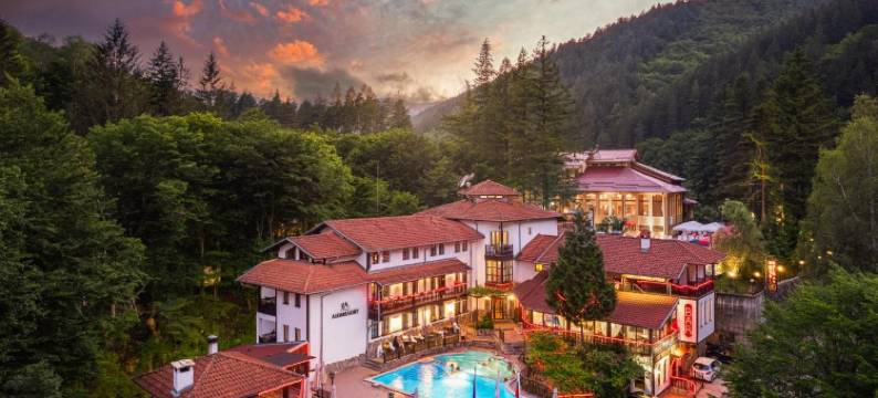 阿尔法特奇菲利卡酒店(Hotel Alfaresort Thermal Chiflika)图片