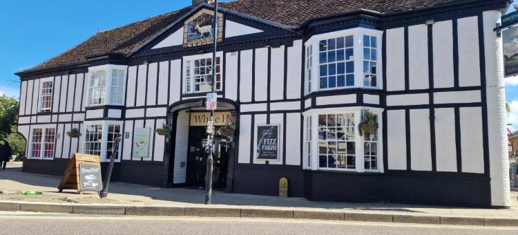 布兰特里白鹿酒店 - 格林国王旅馆(White Hart Hotel by Greene King Inns)图片