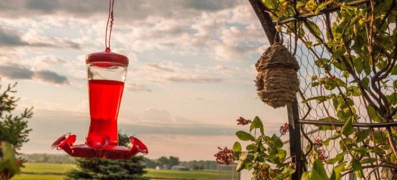 苏格兰住宿加早餐旅馆(Scottish Bed & Breakfast)图片