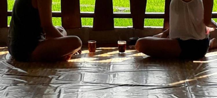 纽奥尔琳德斯旅馆(The New Orlinds Guest House)图片