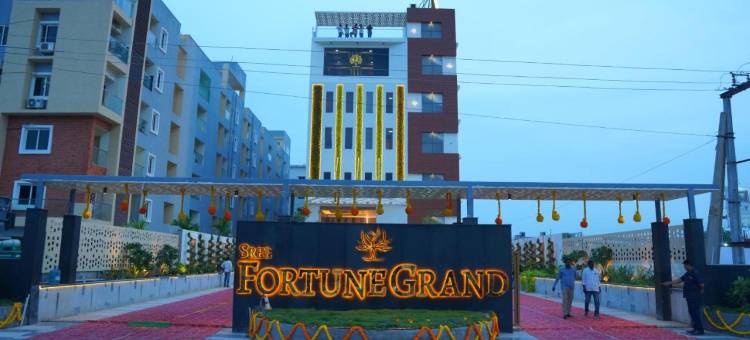 塔德帕利斯里财富大酒店(Sree Fortune Grand, Tadepalli)图片