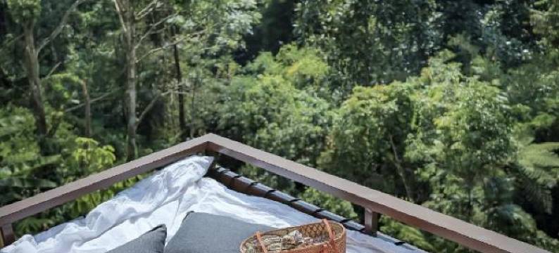 哈尔萨庇护所(由 Genuine Host 提供)(Harsa Sanctuary by GenuineHost)图片